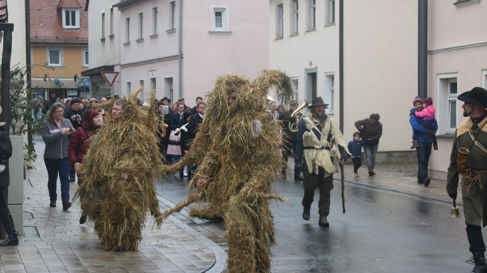 Die wilden Strohbären