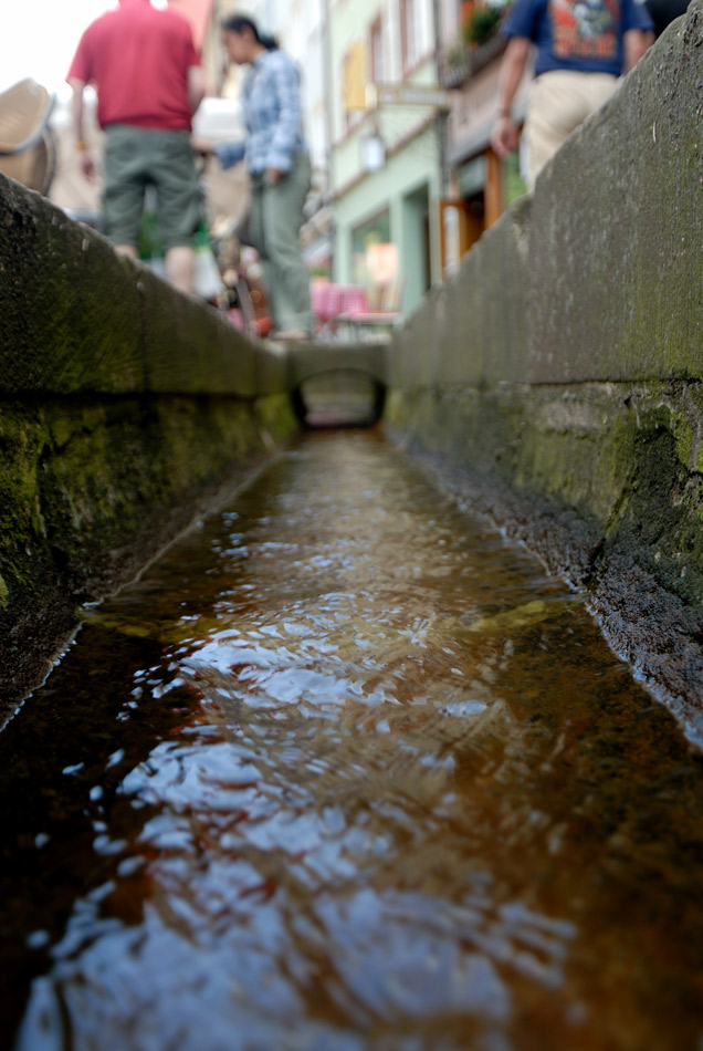 Die wilden Wasser von Freiburg 01