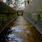 Die wilden Wasser von Freiburg 01