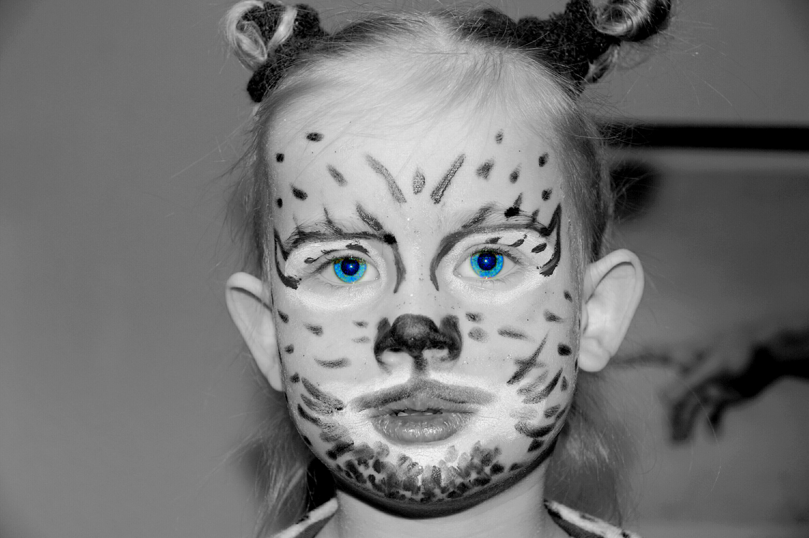 Die Wildkatze Die Wildkatze