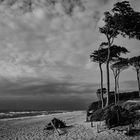 Die Windflüchter vom Weststrand