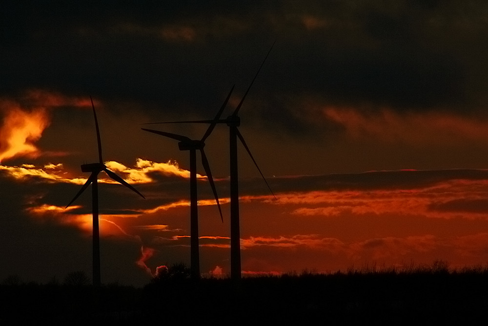 Die Windkraft am Abend.