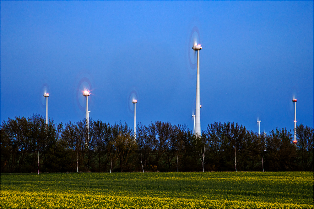 Die Windkraft in Aktion