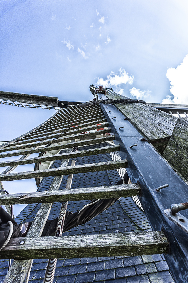 die Windmühle