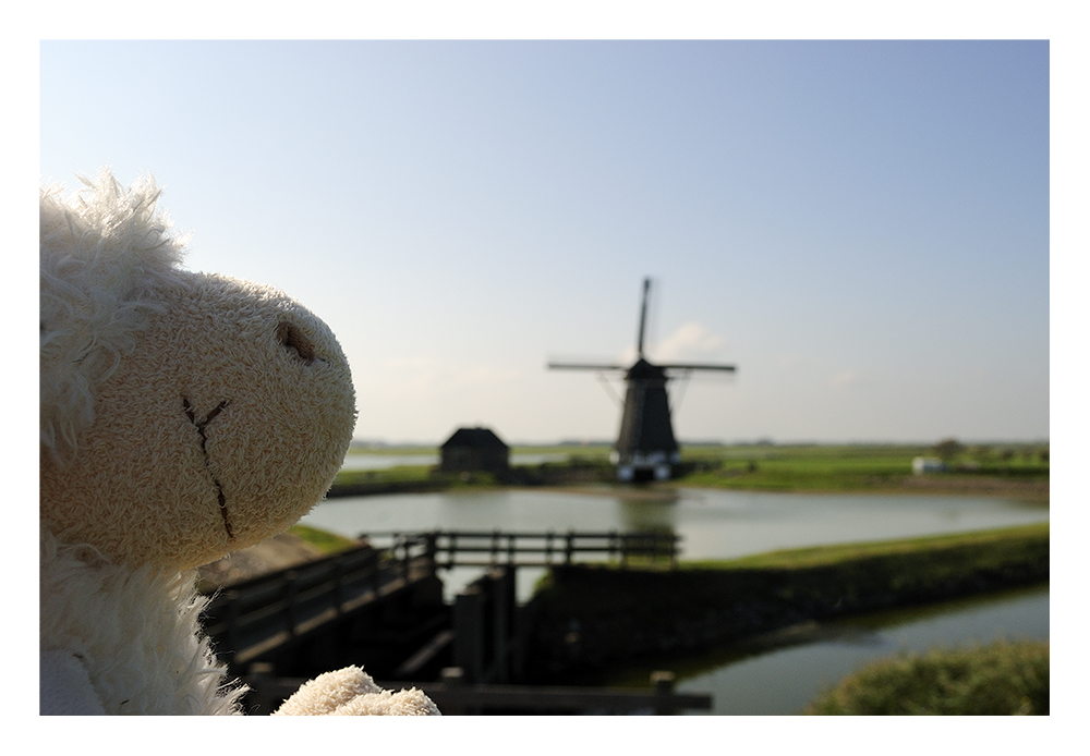 Die Windmühle auf Texel