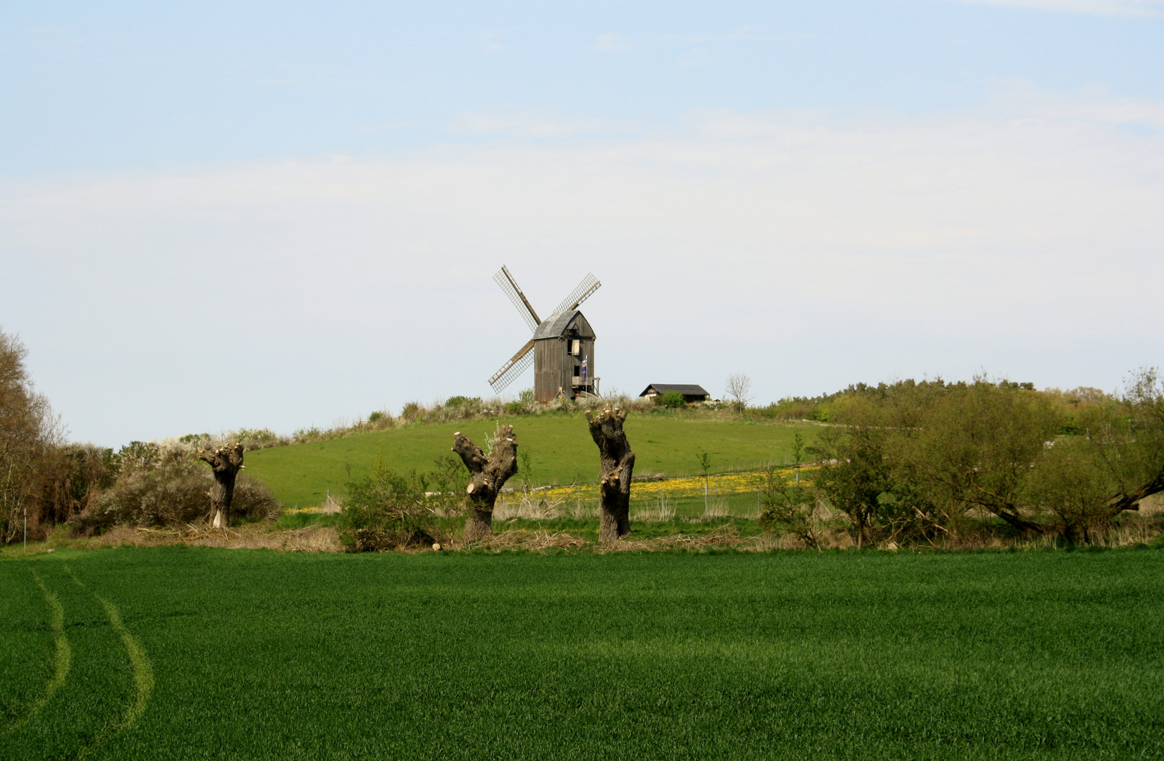 Die Windmühle auf Usedom