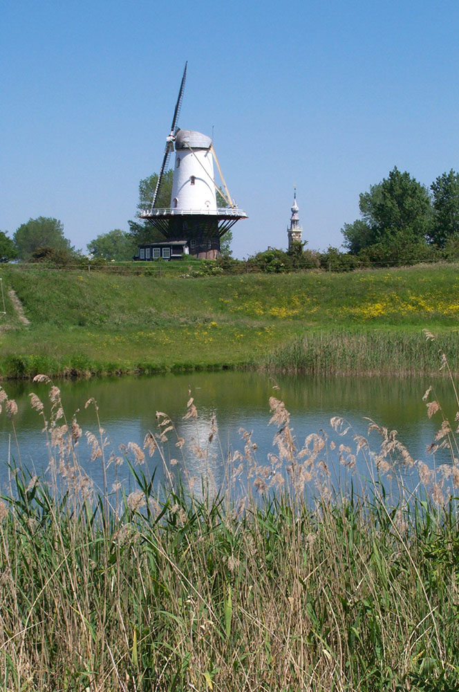 Die Windmühle bei Veere.................