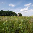 Die Windmühle im Sommer