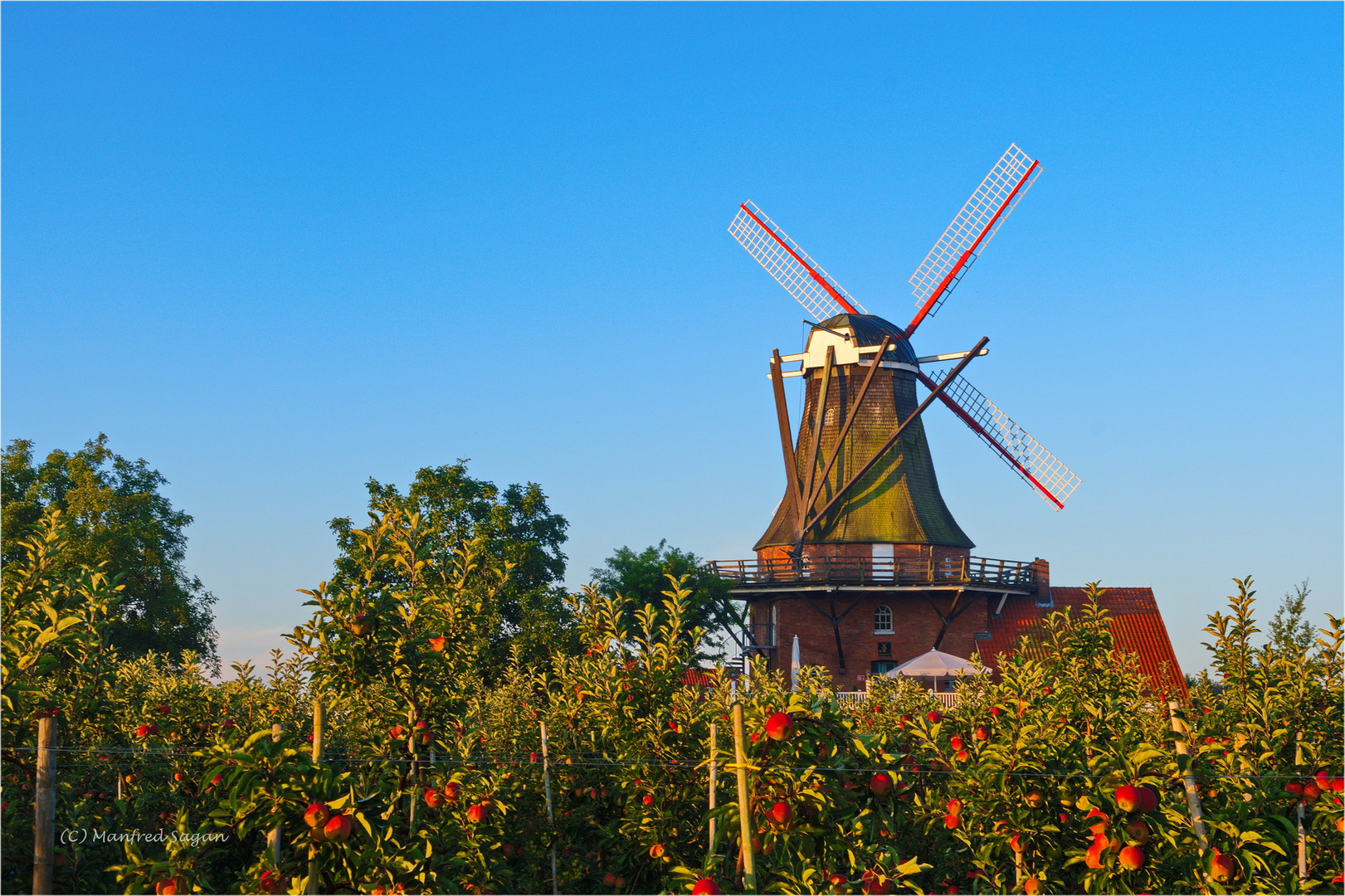 Die Windmühle in Borstel, einem Ortsteil von Jork im Alten Land