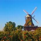 Die Windmühle in Borstel, einem Ortsteil von Jork im Alten Land