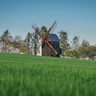 Die Windmühle in Sargstedt (1)