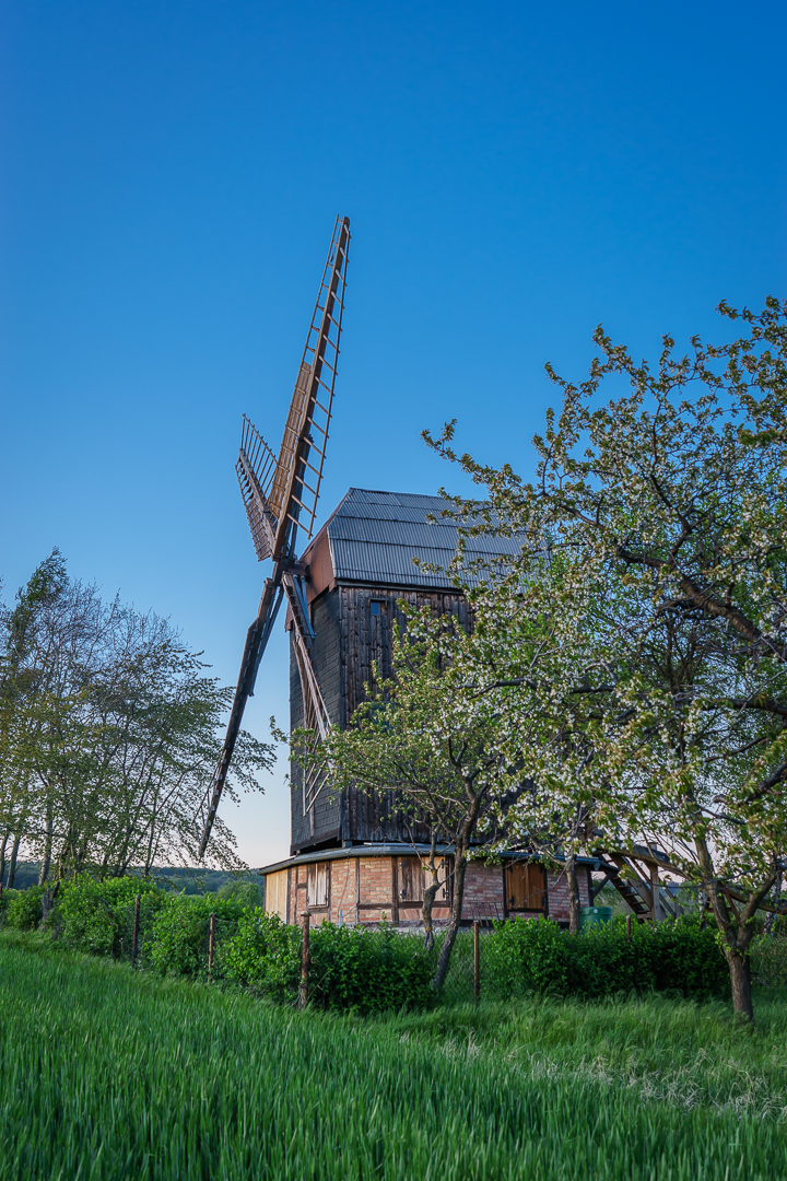 Die Windmühle in Sargstedt (2)