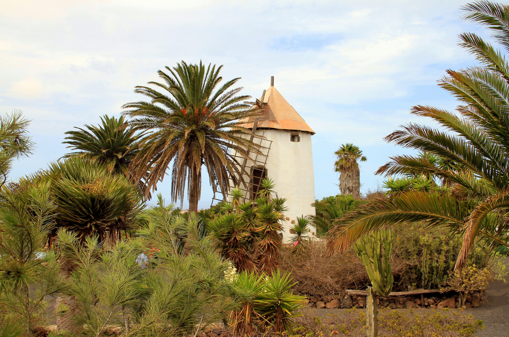 Die Windmühle in Tiagua