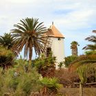 Die Windmühle in Tiagua