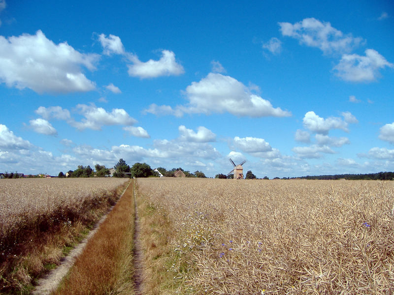 Die Windmühle in weiter ferne