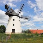 Die Windmühle in  Wendhausen bei Braunschweig/Lehre