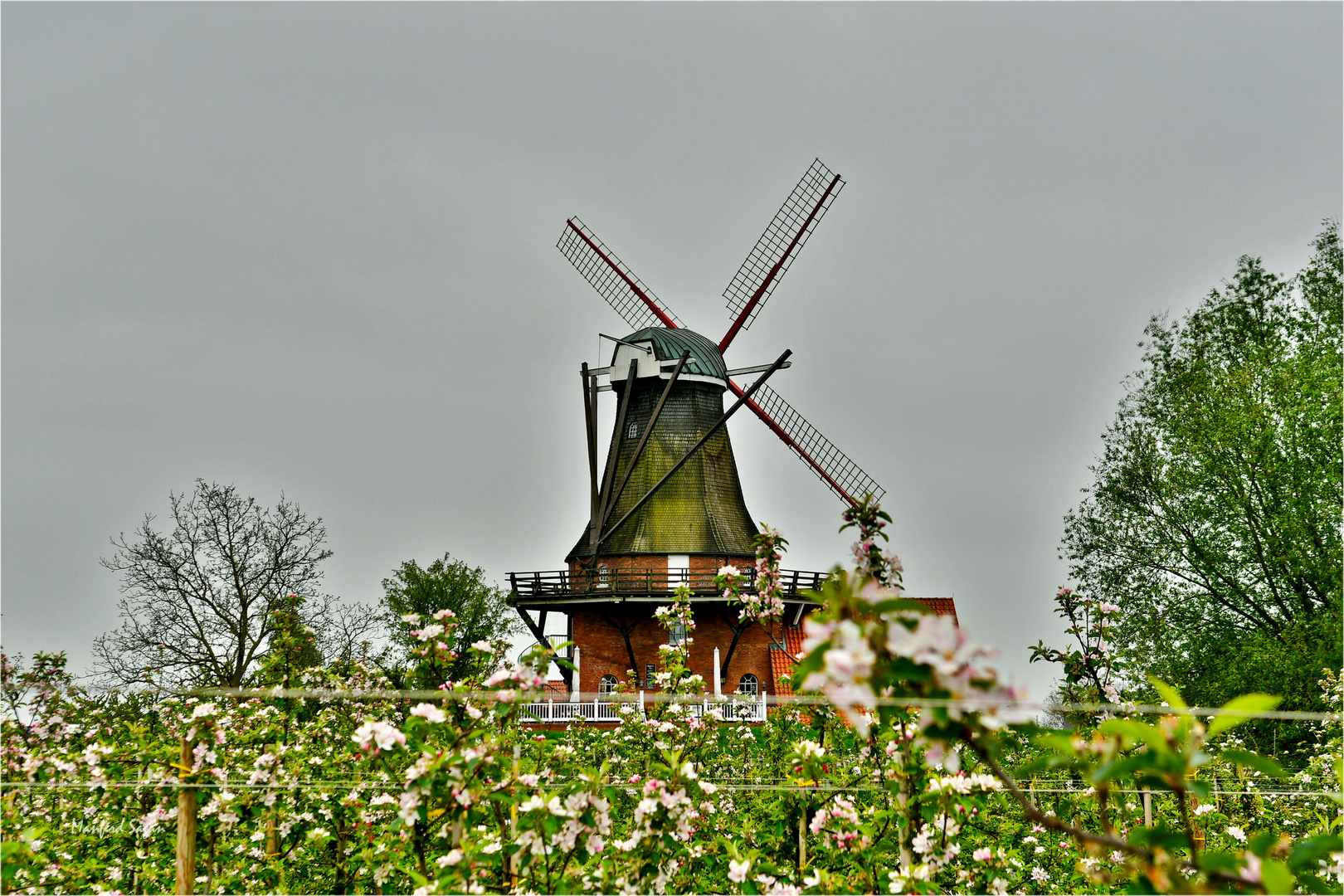 Die Windmühle von Borstel, einem Ortsteil von Jork, im Alten Land... 
