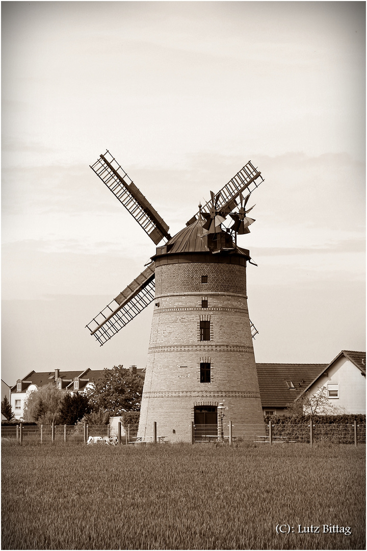 Die Windmühle von Lindenthal