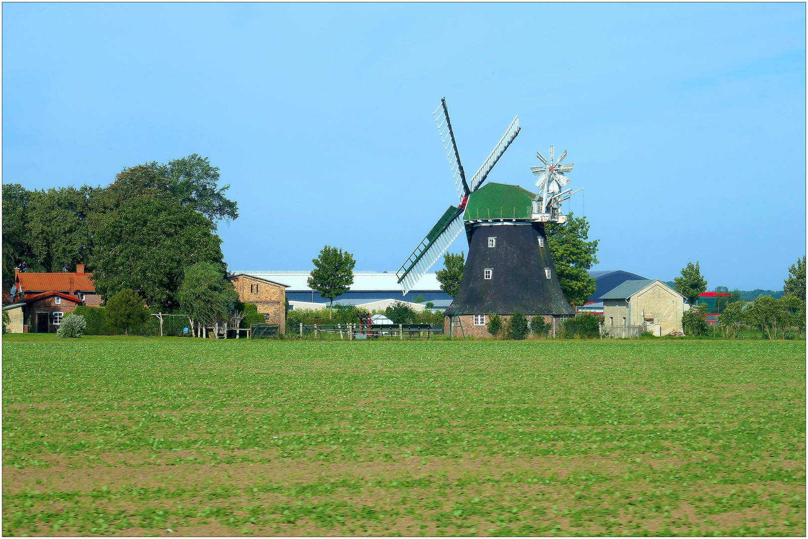 Die Windmühle von Rövershagen Foto & Bild world, sommer, feld Bilder
