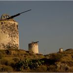 Die Windmühlen