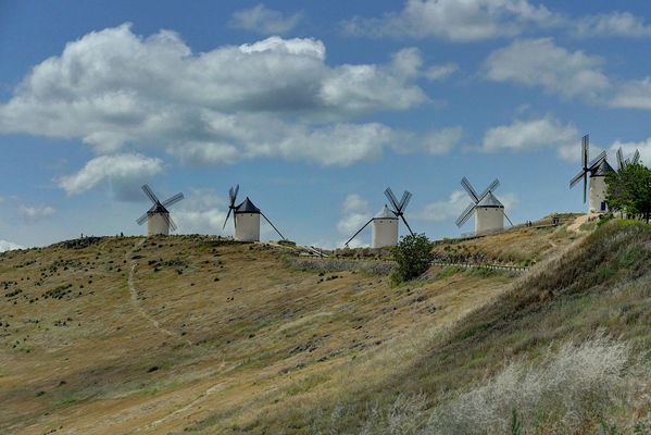 Die Windmühlen des Don Quijotte in Consuegra
