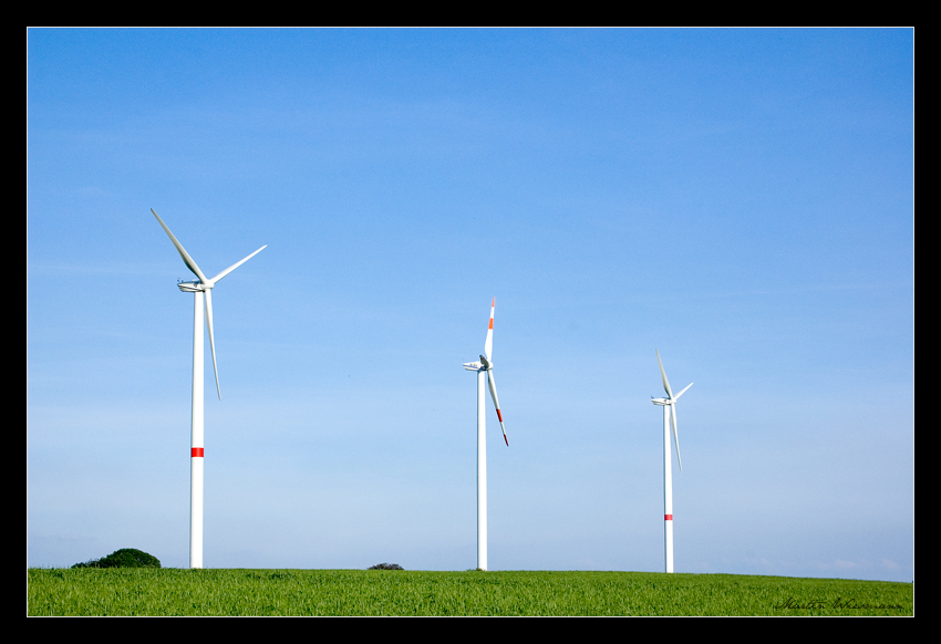 Die Windmühlen von Erlenbach