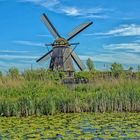 Die Windmühlen von Kinderdijk 3