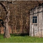 Die windschiefe Hütte und der erschrockene Kirschbaum