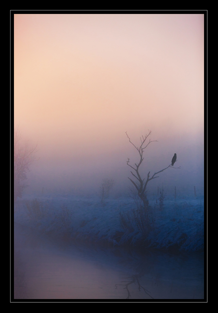 Die Winter-Rur im Sonnenaufgang