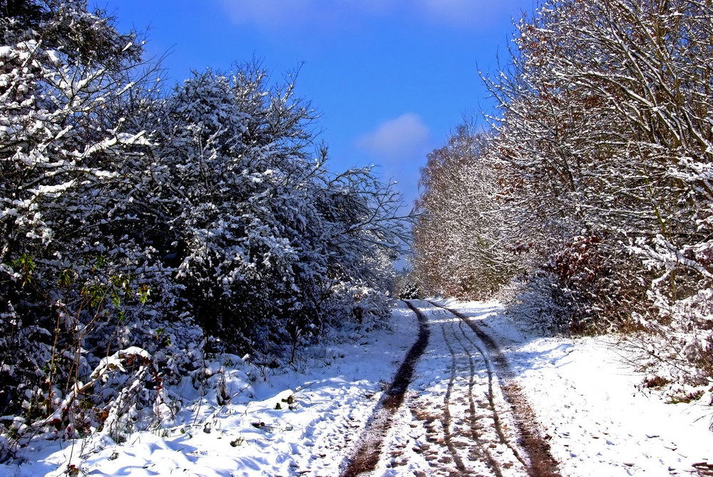 Die Winterfreuden ...