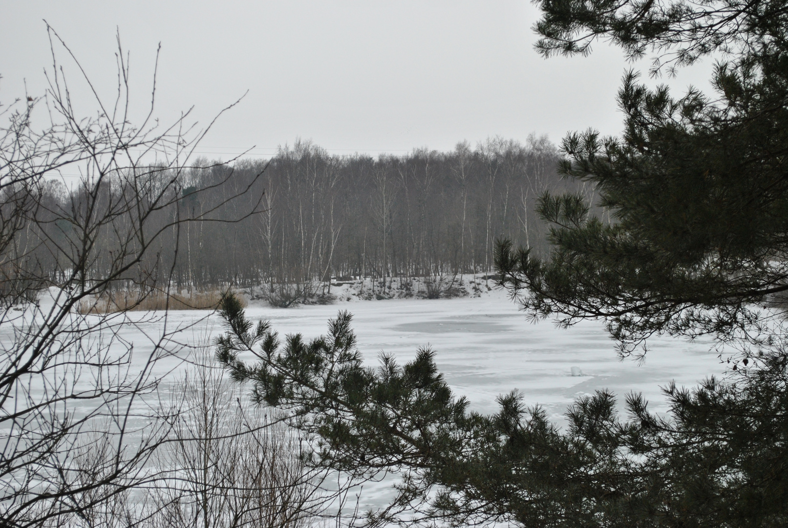 Die Winterlandschaft