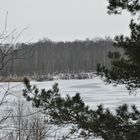 Die Winterlandschaft