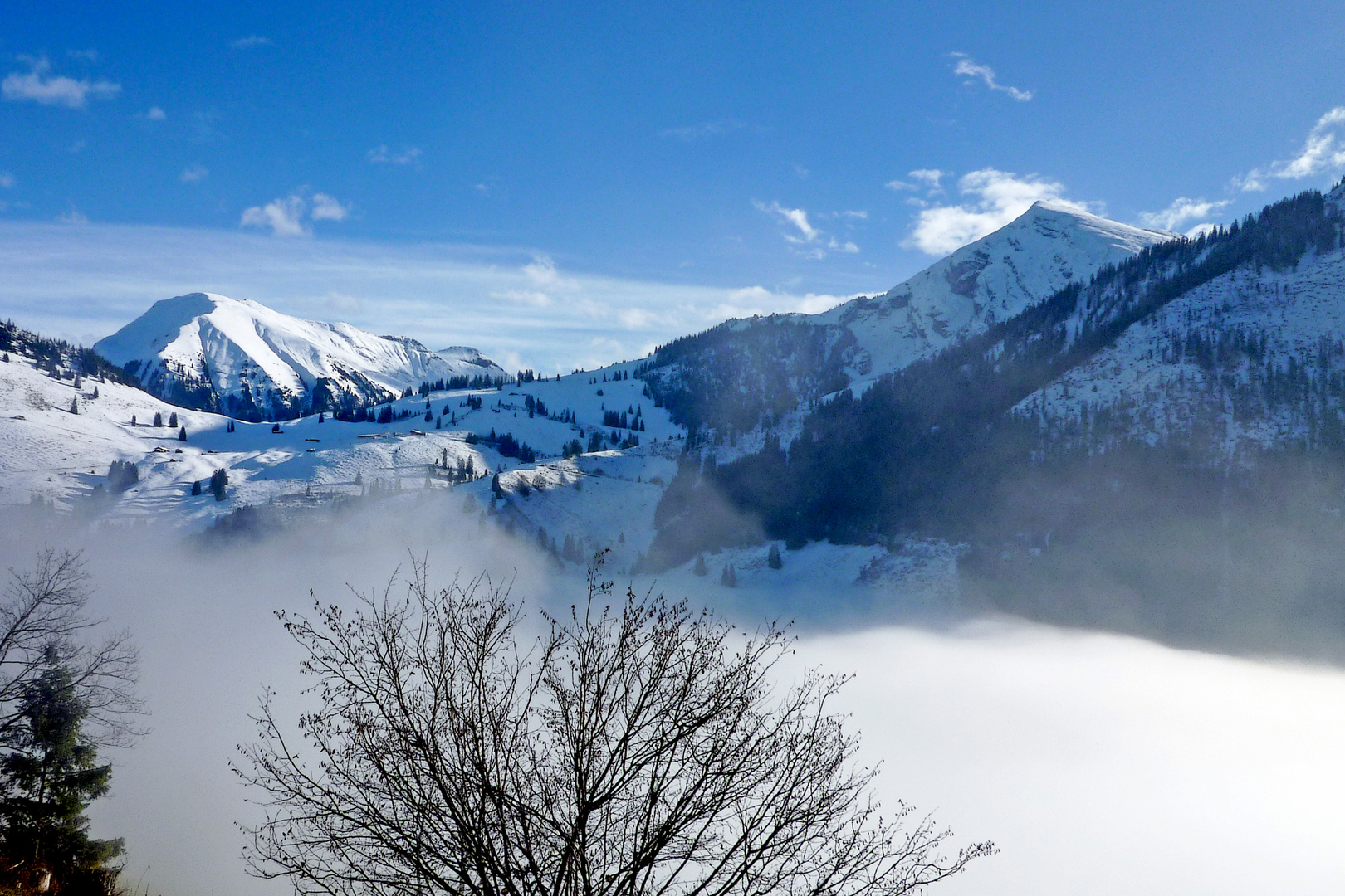 Die winterliche Bergwelt über dem Nebel ...