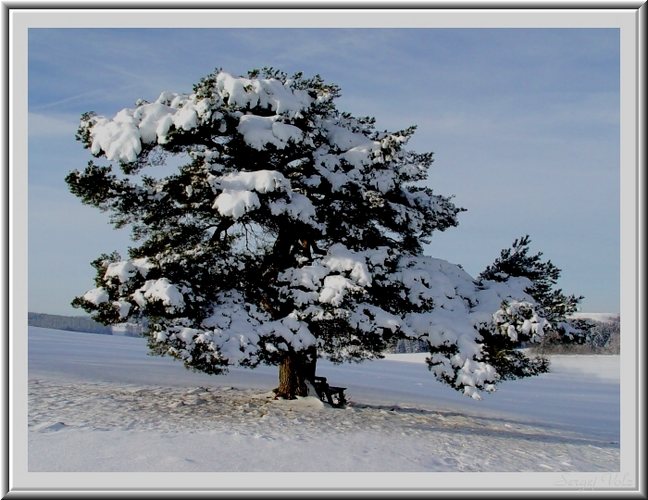 Die winterliche Etüde 1