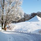 Die winterliche Landpyramide im Branitzer Park bei Cottbus