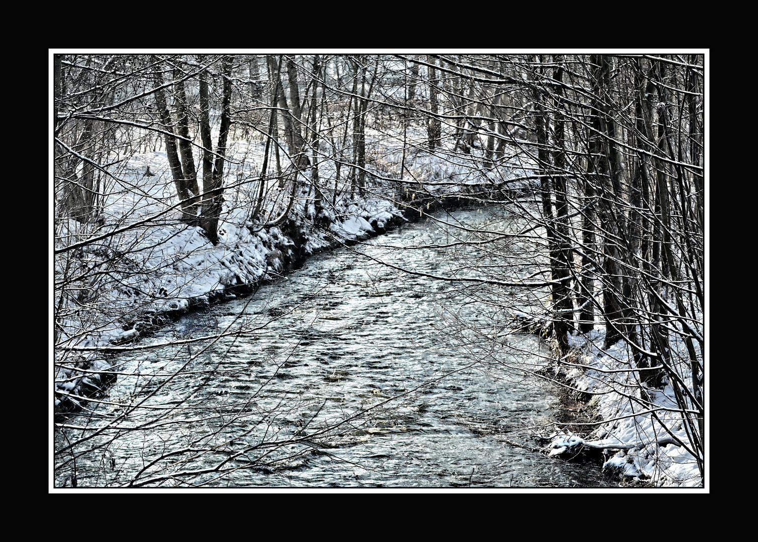 Die winterliche Leine