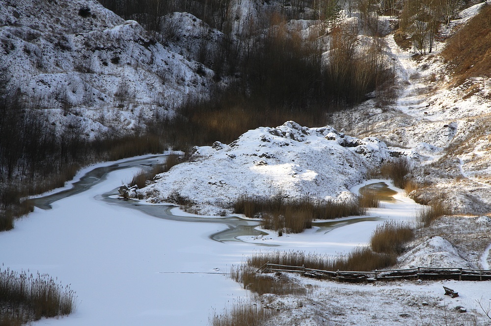 Die winterliche Liether Kalkgrube