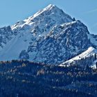 Die winterliche Nockspitze mit stolzen 2403 m