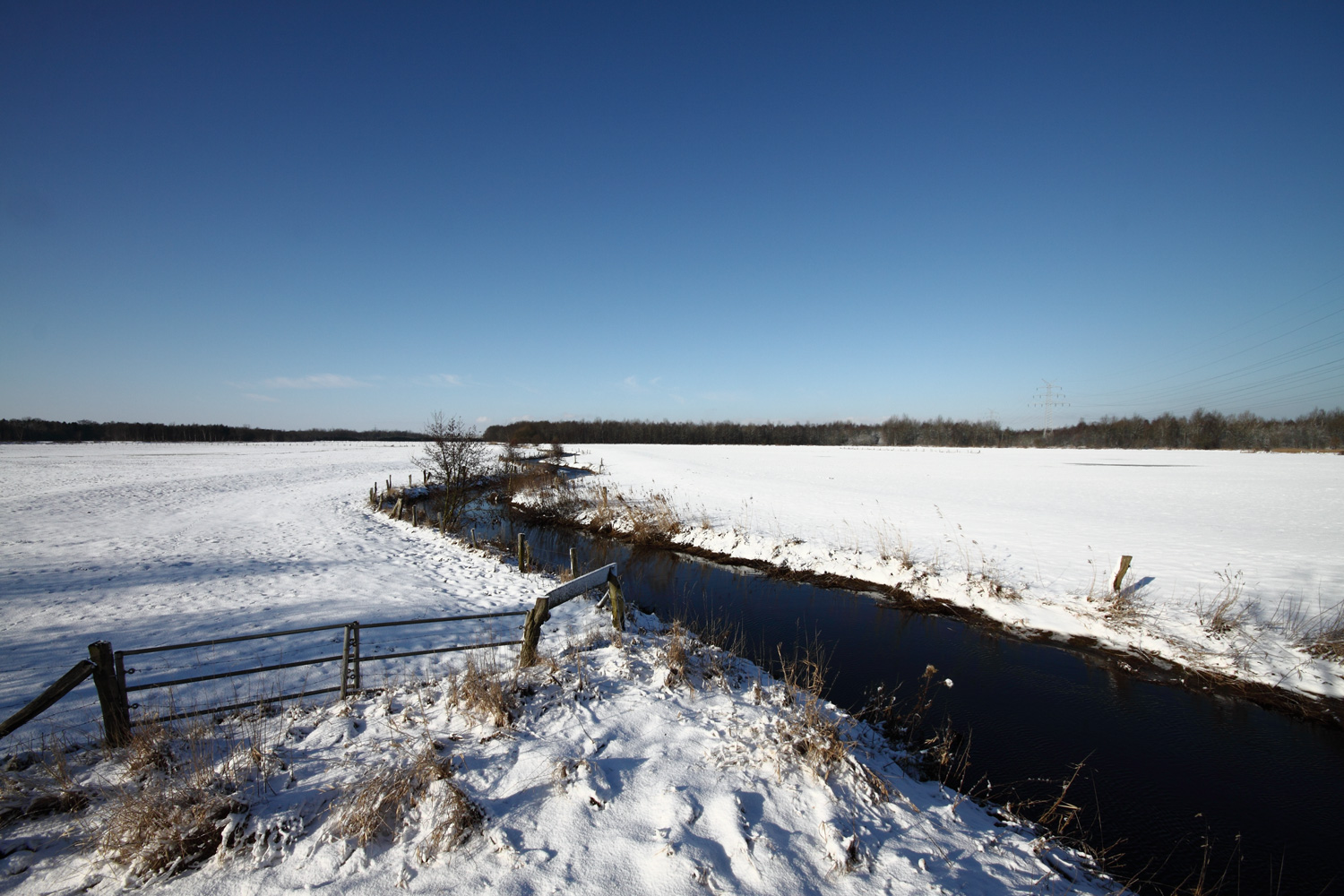 Die winterliche Rohr