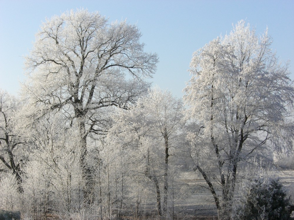 Die winterlichen Temperaturen haben Einzug gehalten