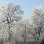 Die winterlichen Temperaturen haben Einzug gehalten