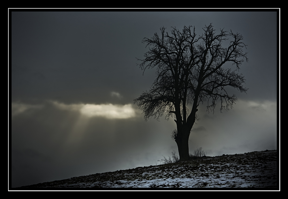 Die Winternacht bricht an