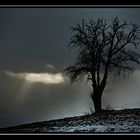 Die Winternacht bricht an