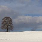 Die Wintersaison hat begonnen