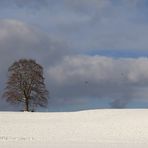 Die Wintersaison hat begonnen