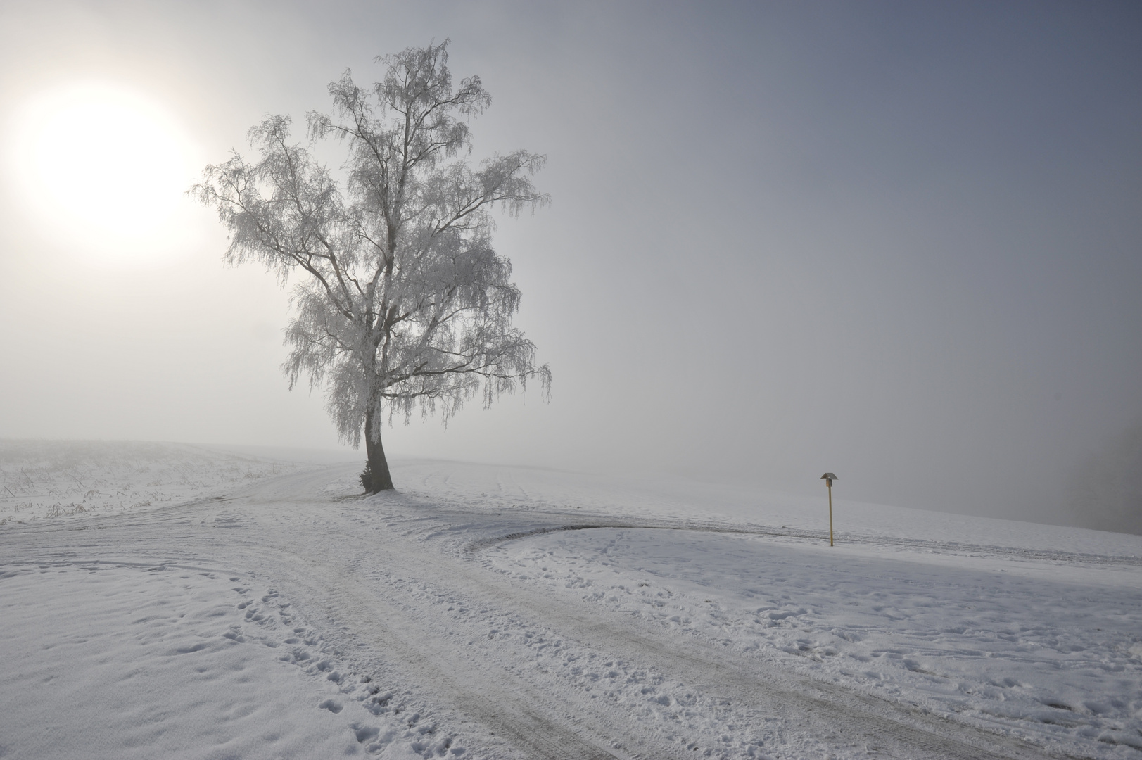 Die Wintersonne