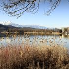 "Die Wintersonne am Wörthersee"   