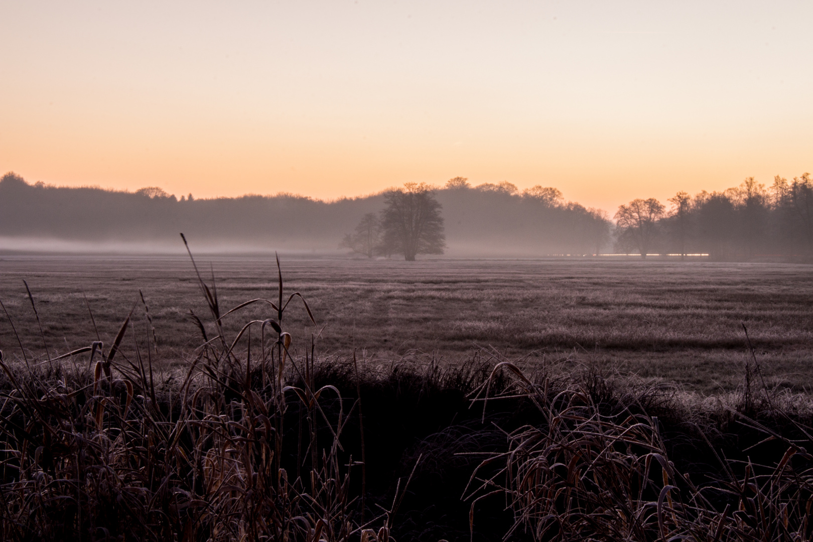 Die Wintersonne erwacht