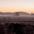 Die Wintersonne erwacht