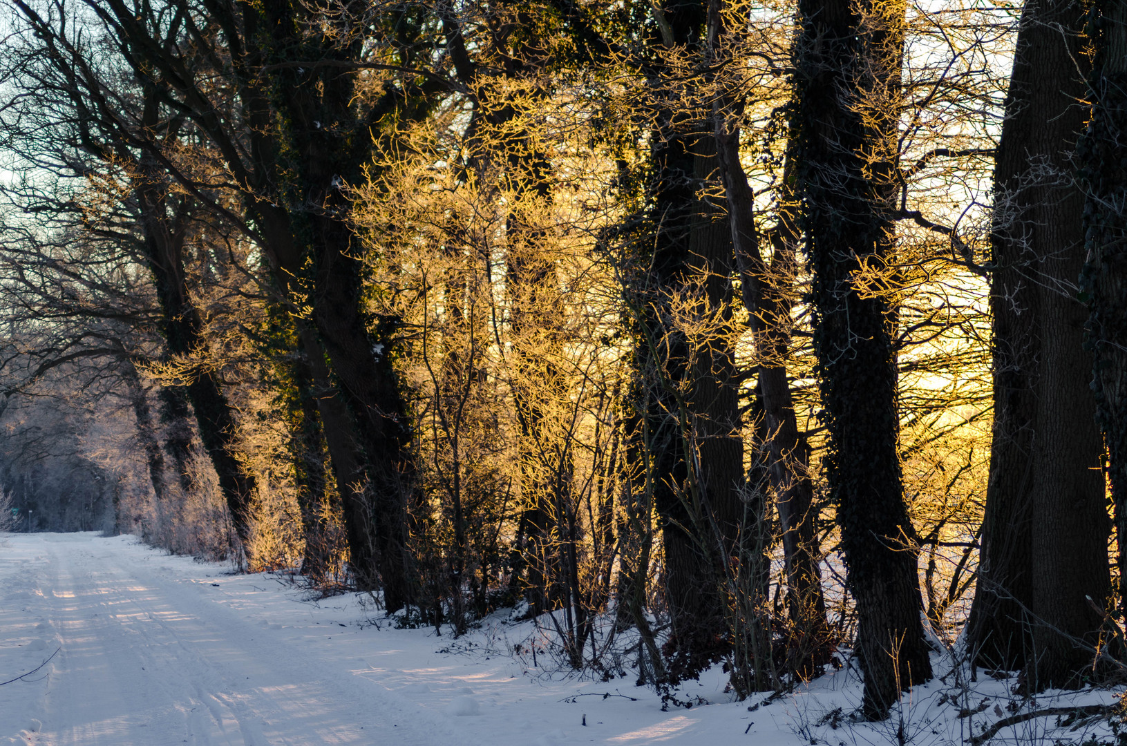 Die Wintersonne geht auf....